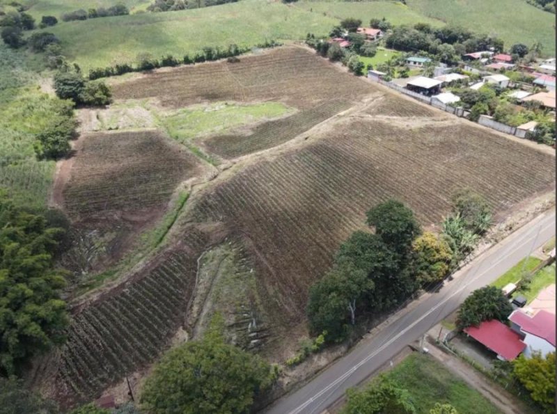 Finca en Venta en Rincón de Salas , Puente Piedra. Grecia, Alajuela