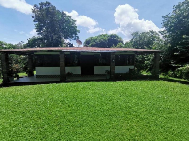 Finca en Venta en Alegria Siquirres, Limón