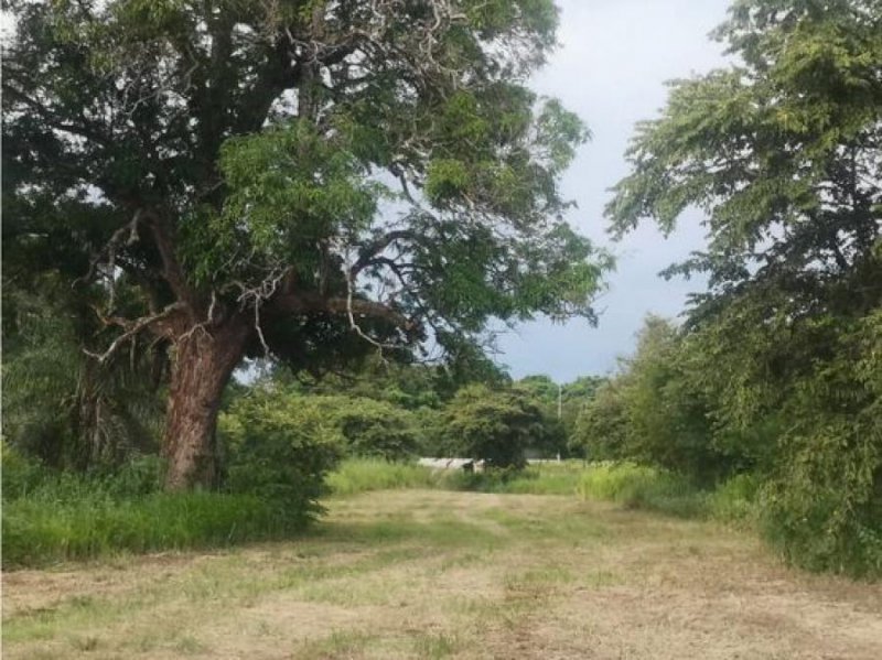 Finca en Venta en  Liberia, Guanacaste