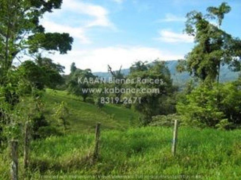 Finca en Venta en Sarapiquí Sarapiquí, Heredia