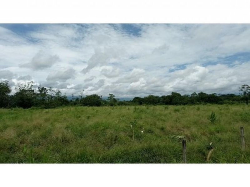 Finca en venta Guapiles, Pococi, desarrollo 5PIV7128954