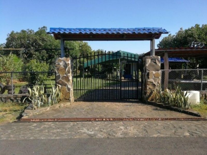 Finca En Venta San Jerónimo De Esparza Puntarenas 15ha; Idi: 114959