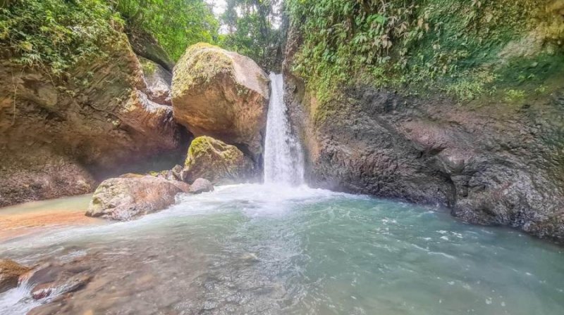 Finca en Venta en Venado Venado, Alajuela