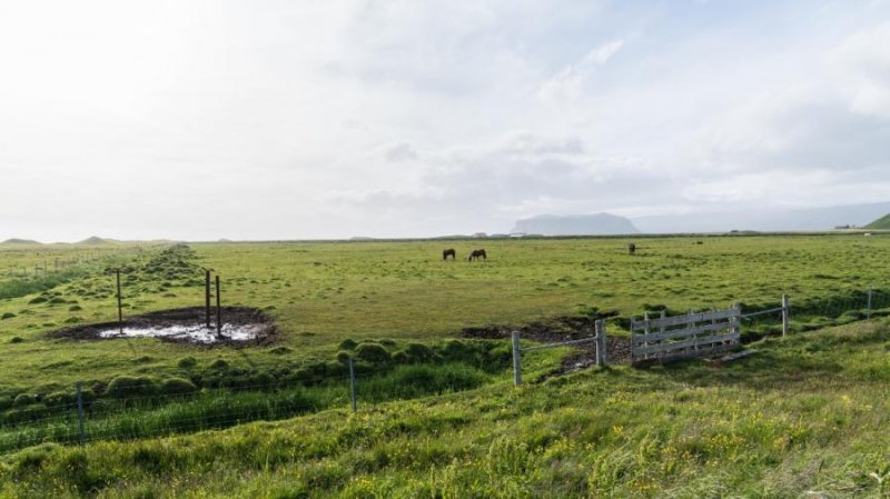 Finca en Venta en LABRADOR Orotina, Alajuela