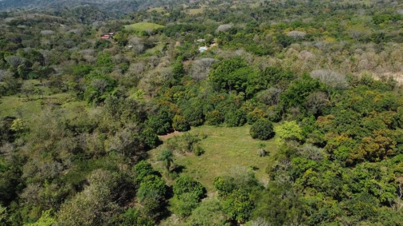 Finca en Venta en Las Parcelas El Barón Esparza, Puntarenas