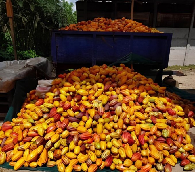 Finca en Venta en TURRIALBA Turrialba, Cartago