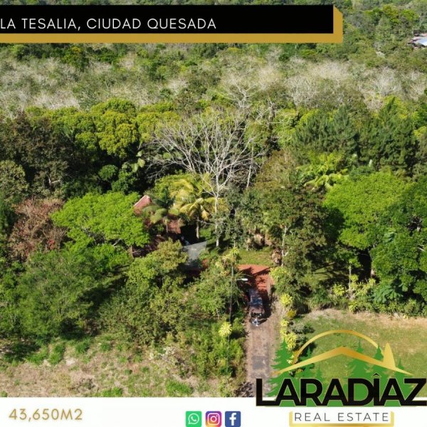 Foto Finca en Venta en La Tesalia, Quesada, Alajuela - 4 hectareas - ¢ 110.000.000 - FIV58043 - BienesOnLine