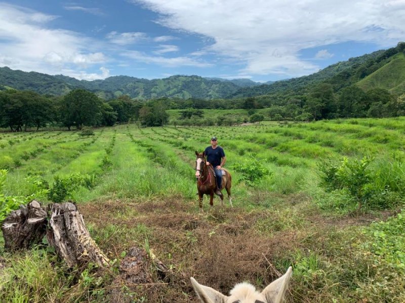 Finca en Venta en San Ramon de Rio Blanco Lepanto, Puntarenas