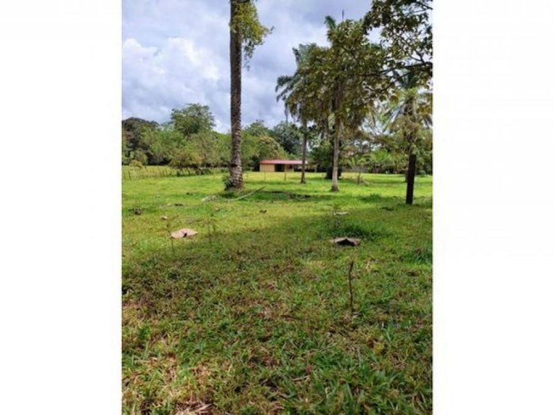 Finca en Venta en  La Virgen, Heredia