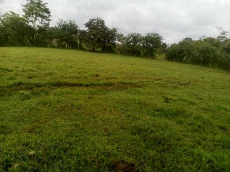 Finca en Venta en  San Carlos, Alajuela