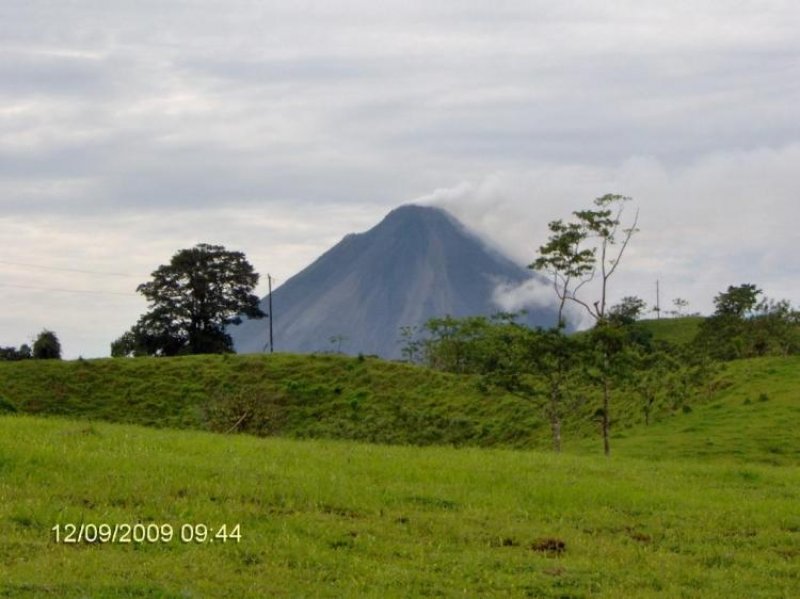 Foto Terreno en Venta en San Carlos, Alajuela - U$D 59.000 - TEV166 - BienesOnLine