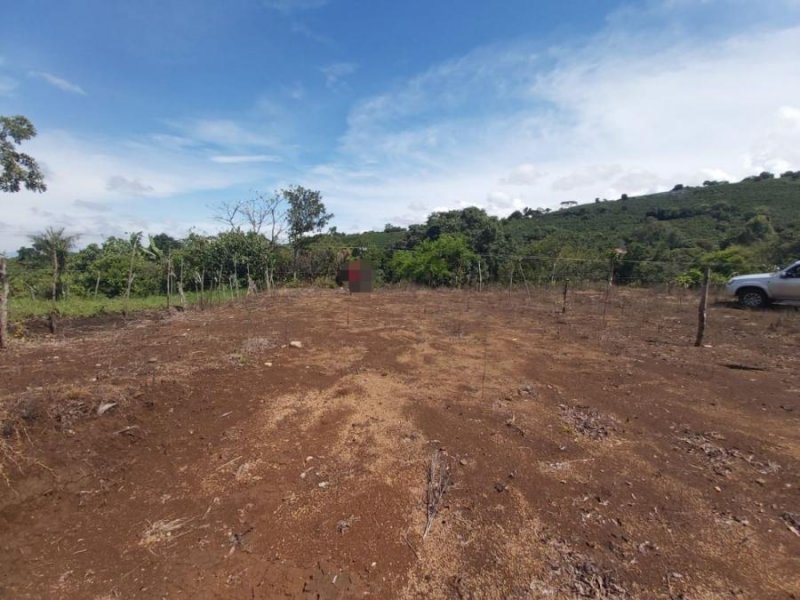 Foto Terreno en Venta en Carrizal, Alajuela - ¢ 25.000.000 - TEV26196 - BienesOnLine