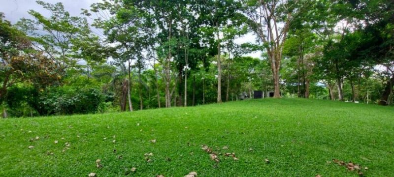 Foto Terreno en Venta en Higuito, San Mateo, Alajuela - ¢ 50.000.000 - TEV60469 - BienesOnLine