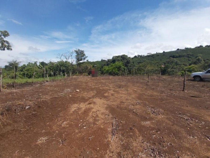 Foto Terreno en Venta en Alajuela, Carrizal, Alajuela - ¢ 25.000.000 - TEV26568 - BienesOnLine