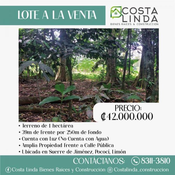 Foto Terreno en Venta en Suerre, Pococí, Limón - ¢ 42.000.000 - TEV70274 - BienesOnLine