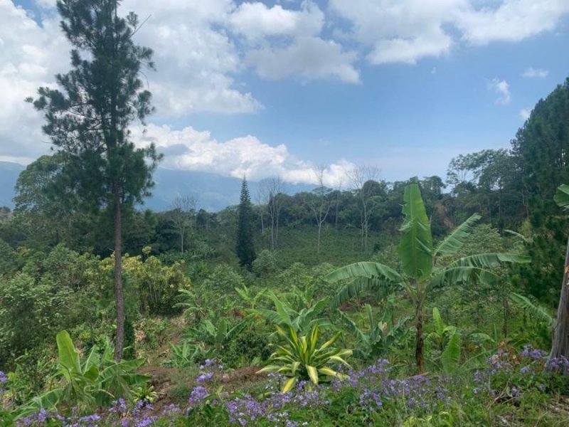 Hermosa Finca de 14 hectáreas, San José, Puriscal, Barbacoas.