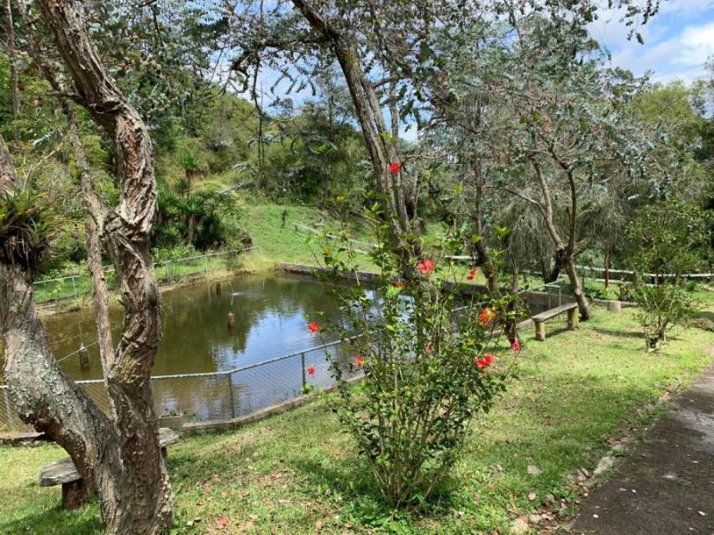 Finca en Venta en Copalchí Quebradilla, Cartago