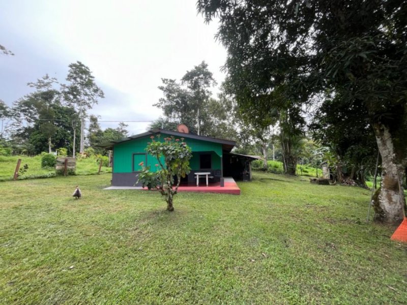 Finca en Venta en Sabalito Monterrey, Alajuela