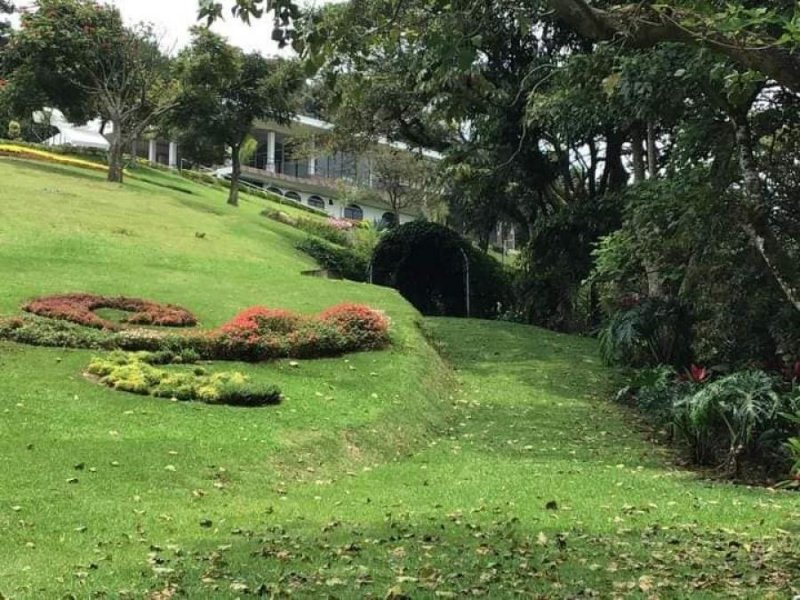 Foto Finca en Venta en Alajuela, Alajuela - U$D 1.800.000 - FIV56648 - BienesOnLine