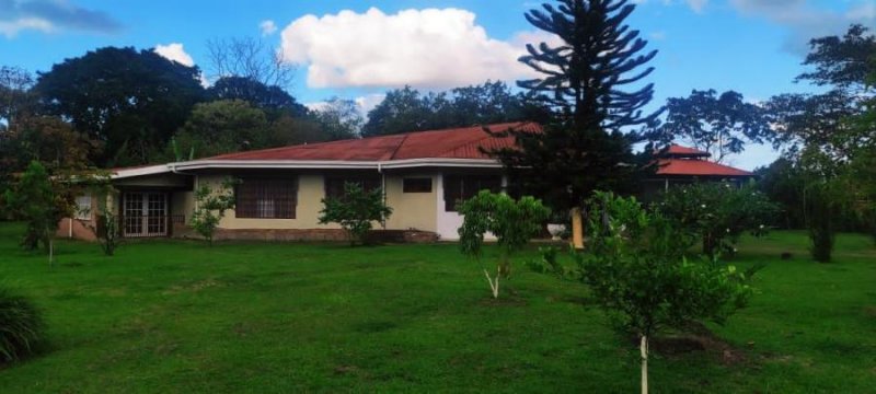 Foto Casa en Venta en Guapiles, Pococí, Limón - U$D 290.000 - CAV56260 - BienesOnLine