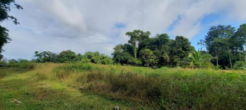 Terreno en Venta en Santa Rita Río Cuarto, Alajuela