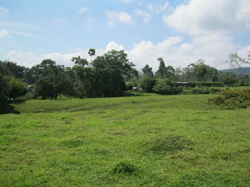 Terreno en Venta en  Venecia, Alajuela