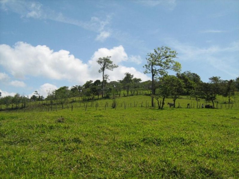 Terreno en Venta en  Tilarán, Guanacaste