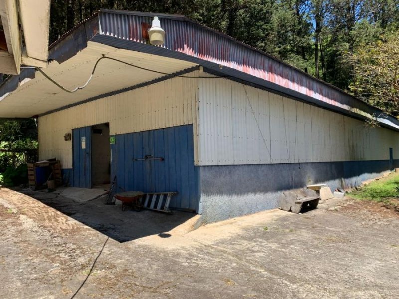 Bodega en Alquiler en  Copalchi, Cartago