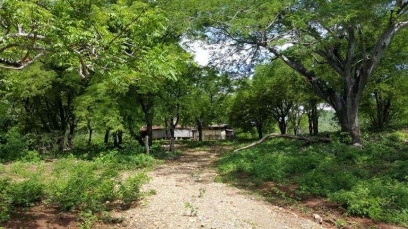 Foto Terreno en Venta en Puerto Soley, La Cruz, Guanacaste - ¢ 1.282.000 - TEV20417 - BienesOnLine