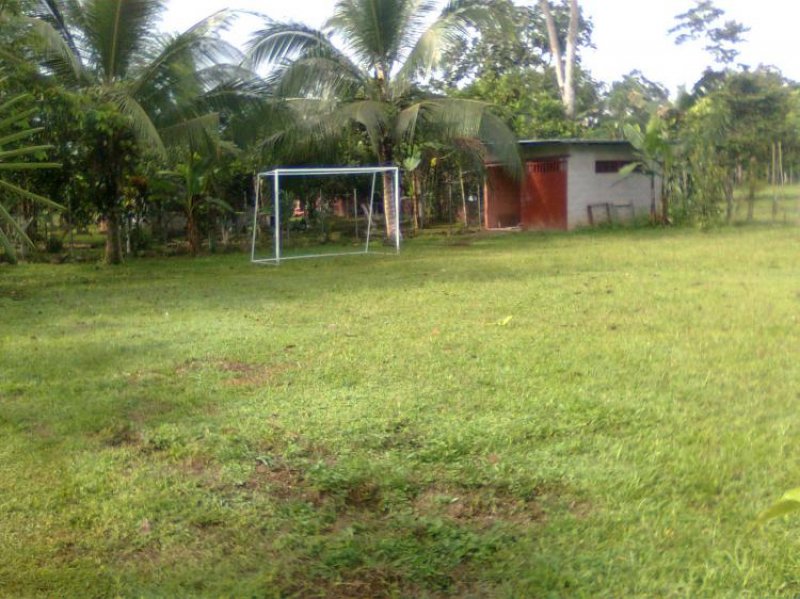 Foto Terreno en Venta en Guápiles, Limón - U$D 185.000 - TEV1203 - BienesOnLine