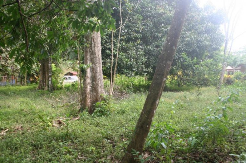 Foto Terreno en Venta en Las Monas, Garabito, Puntarenas - U$D 99.000 - TEV844 - BienesOnLine