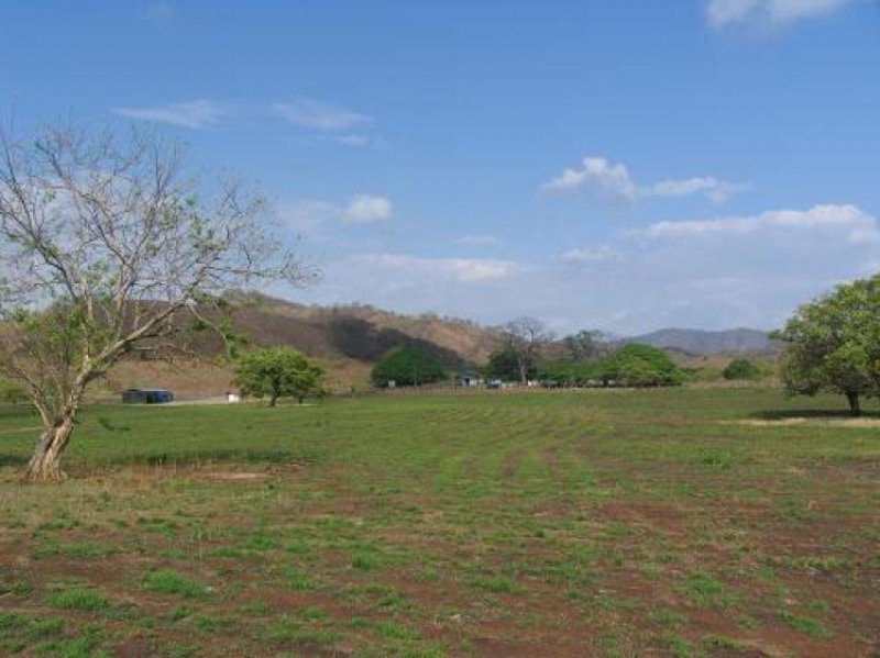 Foto Finca en Venta en Santa Cruz, Guanacaste - 20 hectareas - U$D 4.930.000 - FIV279 - BienesOnLine