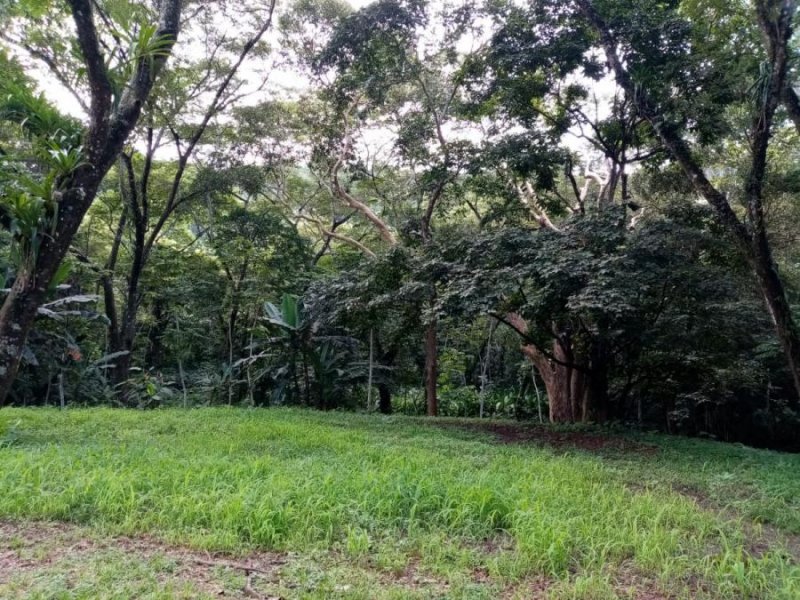 Foto Terreno en Venta en Punta Leona, Tarcoles, Puntarenas - 25587 hectareas - U$D 639.675 - TEV93731 - BienesOnLine