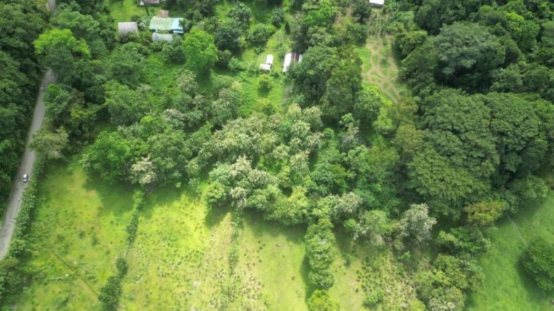 Finca en Venta en Naranjito Naranjito, Puntarenas