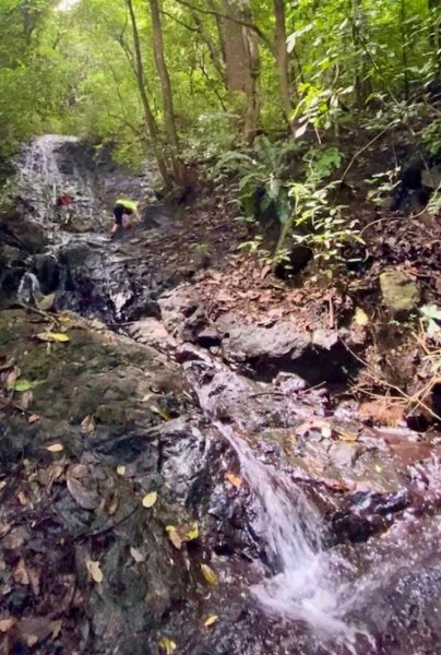 Terreno en Venta en Cóbano aldea  La Esperanza Cobano, Puntarenas