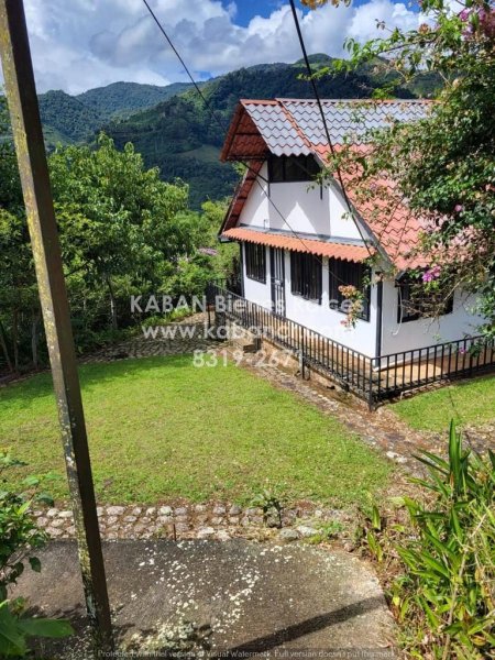 Linda propiedad con tres casas en Orosi