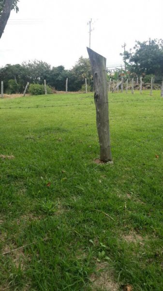 Foto Terreno en Venta en San Isidro, Heredia - ¢ 50.000.000 - TEV9408 - BienesOnLine