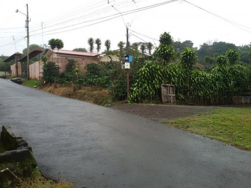 Foto Terreno en Venta en San Luis de Grecia, Grecia, Alajuela - ¢ 21.000.000 - TEV11689 - BienesOnLine