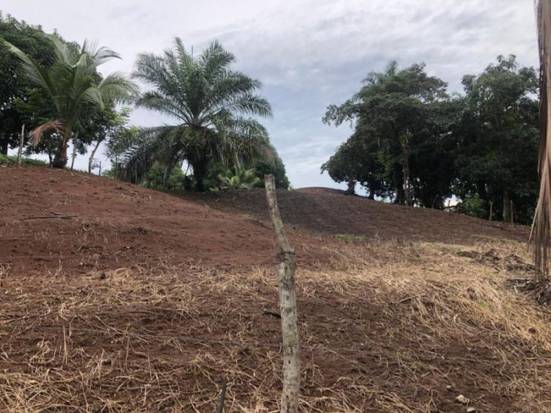 Foto Terreno en Venta en Quepos, Quepos, Puntarenas - U$D 100.000 - TEV39464 - BienesOnLine