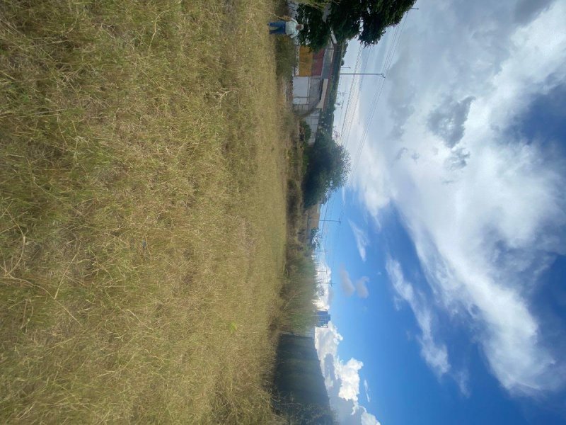 Foto Terreno en Venta en cartago, Cerca del Tecnologico de Costa Rica en CArtago, Cartago - ¢ 210.000.000 - TEV74666 - BienesOnLine