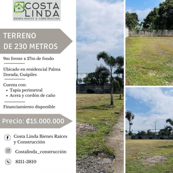 Foto Terreno en Venta en Palma Dorada, Guápiles, Limón - ¢ 15.000.000 - TEV92171 - BienesOnLine