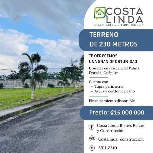 Foto Terreno en Venta en Palma Dorada, Guápiles, Limón - ¢ 15.000.000 - TEV90604 - BienesOnLine