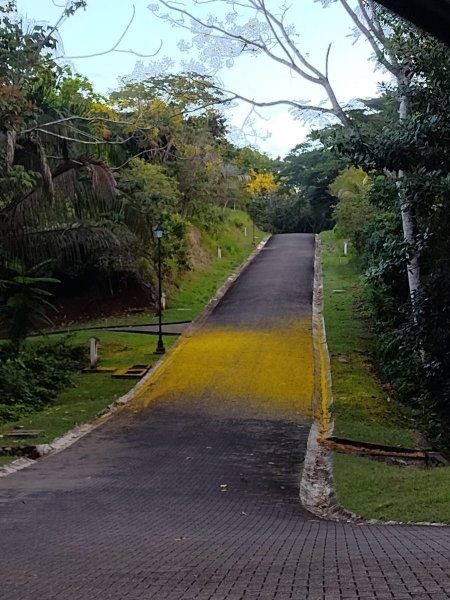 Terreno en Venta en Esterillos centro Parrita, Puntarenas