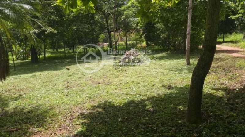 Foto Terreno en Venta en Nicoya, Guanacaste - U$D 42.500 - TEV36768 - BienesOnLine