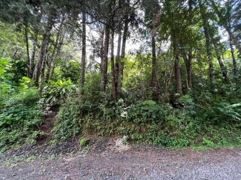 Terreno en Venta en san jose de la montaña Barva, Heredia