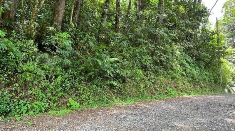 Foto Terreno en Venta en San Jose de la Montaña, Barva, Heredia - U$D 102.175 - TEV86489 - BienesOnLine