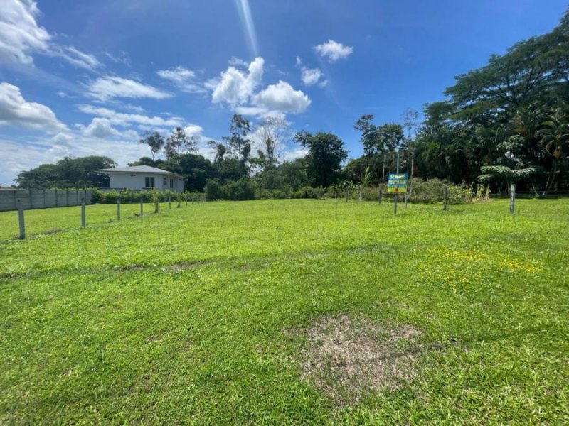 Foto Terreno en Venta en Buenos Aires, Guápiles, Limón - ¢ 28.000.000 - TEV79458 - BienesOnLine