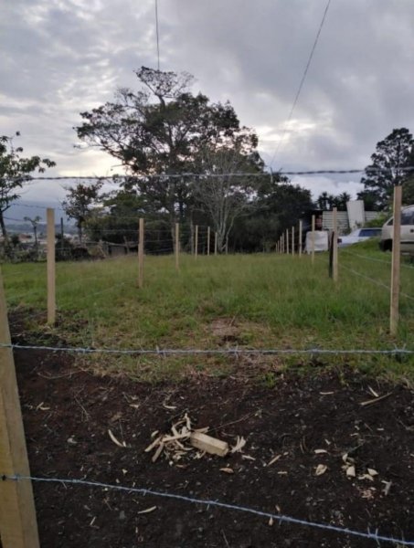 Foto Terreno en Venta en Blanquillo, Cartago - ¢ 16.000.000 - TEV64683 - BienesOnLine