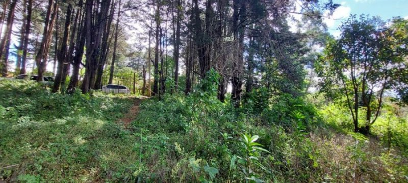 Foto Terreno en Venta en Bosque de La Hoja, San Rafael, Heredia - U$D 159.000 - TEV67667 - BienesOnLine