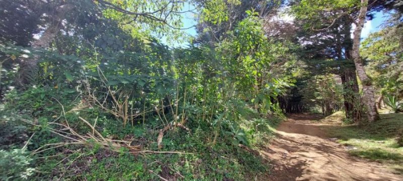 Foto Terreno en Venta en Bosque de La Hoja, Santa Bárbara, Heredia - ¢ 97.000 - TEV67668 - BienesOnLine